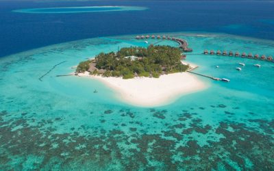 Prenota Prima Royal Island 2024